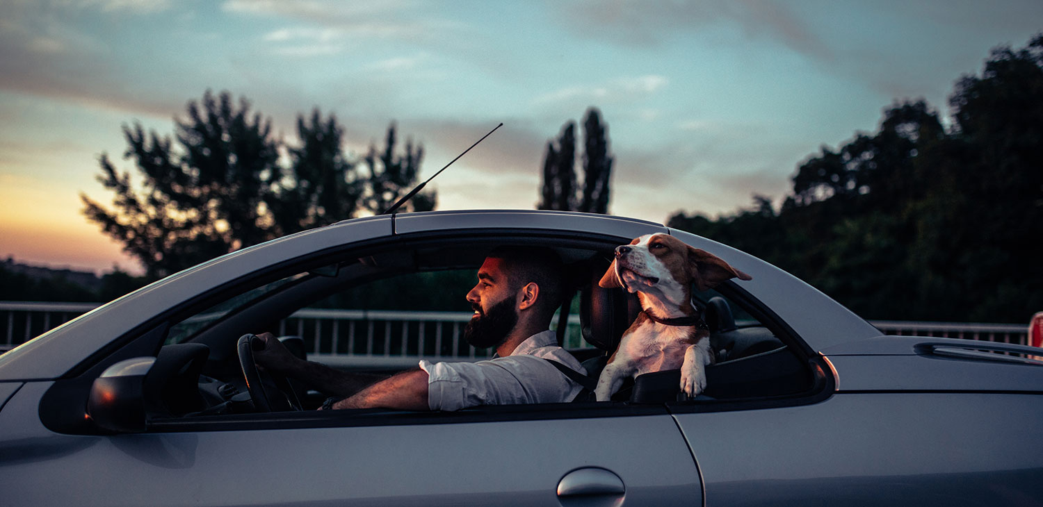 Man enjoying a car ride with his dog at sunset